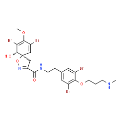 ChemSpider 2D Image | (5R,10S)-7,9-Dibromo-N-(2-{3,5-dibromo-4-[3-(methylamino)propoxy]phenyl}ethyl)-10-hydroxy-8-methoxy-1-oxa-2-azaspiro[4.5]deca-2,6,8-triene-3-carboxamide | C22H25Br4N3O5