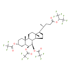 ChemSpider 2D Image | 1,1,1,3,3,3-Hexafluoro-2-propanyl (3alpha,5beta,6beta,7beta,20R)-3,6,7-tris(2,2,2-trifluoroacetoxy)cholan-24-oate | C33H37F15O8