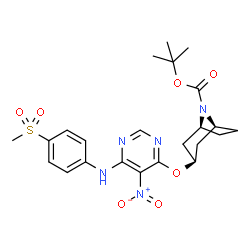 ChemSpider 2D Image | 2-Methyl-2-propanyl (1S,5S)-3-[(6-{[4-(methylsulfonyl)phenyl]amino}-5-nitro-4-pyrimidinyl)oxy]-8-azabicyclo[3.2.1]octane-8-carboxylate | C23H29N5O7S