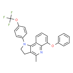 ChemSpider 2D Image | 4-Methyl-6-phenoxy-1-[4-(trifluoromethoxy)phenyl]-2,3-dihydro-1H-pyrrolo[3,2-c]quinoline | C25H19F3N2O2