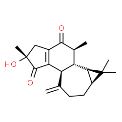 ChemSpider 2D Image | (2R,3bS,6aS,7aR,7bR,8S)-2-Hydroxy-2,7,7,8-tetramethyl-4-methylene-4,5,6,6a,7,7a,7b,8-octahydro-1H-cyclopropa[3,4]cyclohepta[1,2-e]indene-3,9(2H,3bH)-dione | C20H26O3