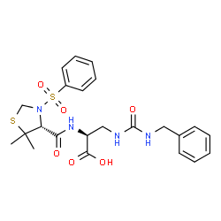 ChemSpider 2D Image | 3-[(Benzylcarbamoyl)amino]-N-{[(4R)-5,5-dimethyl-3-(phenylsulfonyl)-1,3-thiazolidin-4-yl]carbonyl}-L-alanine | C23H28N4O6S2