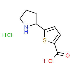 ChemSpider 2D Image | 5-(2-pyrrolidinyl)-2-thiophenecarboxylic acid hydrochloride | C9H12ClNO2S