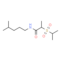 ChemSpider 2D Image | 2-(Isopropylsulfonyl)-N-(4-methylpentyl)propanamide | C12H25NO3S