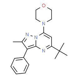 ChemSpider 2D Image | 2-Methyl-5-(2-methyl-2-propanyl)-7-(4-morpholinyl)-3-phenylpyrazolo[1,5-a]pyrimidine | C21H26N4O