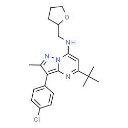ChemSpider 2D Image | 5-tert-butyl-3-(4-chlorophenyl)-2-methyl-N-(tetrahydrofuran-2-ylmethyl)pyrazolo[1,5-a]pyrimidin-7-amine | C22H27ClN4O