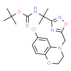 ChemSpider 2D Image | 2-Methyl-2-propanyl (2-{5-[(6-chloro-2,3-dihydro-4H-1,4-benzoxazin-4-yl)methyl]-1,2,4-oxadiazol-3-yl}-2-propanyl)carbamate | C19H25ClN4O4