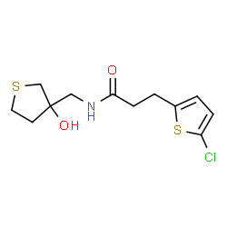 ChemSpider 2D Image | 3-(5-Chloro-2-thienyl)-N-[(3-hydroxytetrahydro-3-thiophenyl)methyl]propanamide | C12H16ClNO2S2
