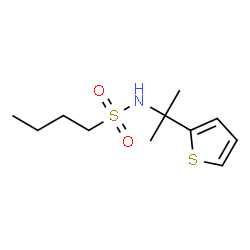 ChemSpider 2D Image | N-[2-(2-Thienyl)-2-propanyl]-1-butanesulfonamide | C11H19NO2S2