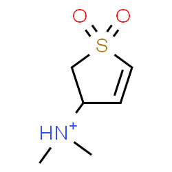 ChemSpider 2D Image | N,N-Dimethyl-2,3-dihydro-3-thiophenaminium 1,1-dioxide | C6H12NO2S