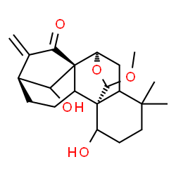 ChemSpider 2D Image | (5xi,7alpha,8alpha,9xi,10alpha,13alpha,20R)-1,14-Dihydroxy-20-methoxy-7,20-epoxykaur-16-en-15-one | C21H30O5