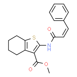 ChemSpider 2D Image | Methyl 2-{[(2Z)-3-phenyl-2-propenoyl]amino}-4,5,6,7-tetrahydro-1-benzothiophene-3-carboxylate | C19H19NO3S