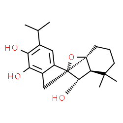 ChemSpider 2D Image | (1R,9S,10S,11S)-6-Isopropyl-12,12-dimethyl-16-oxatetracyclo[7.6.1.0~1,11~.0~3,8~]hexadeca-3,5,7-triene-4,5,10-triol | C20H28O4