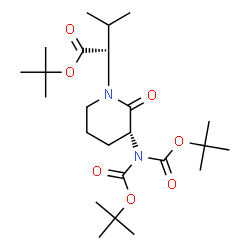 ChemSpider 2D Image | 2-Methyl-2-propanyl (2S)-2-[(3R)-3-(bis{[(2-methyl-2-propanyl)oxy]carbonyl}amino)-2-oxo-1-piperidinyl]-3-methylbutanoate | C24H42N2O7