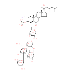 ChemSpider 2D Image | Sodium (3beta,5alpha,6alpha,8xi,14xi,20xi,24xi)-6-{[6-deoxyhexopyranosyl-(1->2)-[6-deoxyhexopyranosyl-(1->2)hexopyranosyl-(1->4)]pentopyranosyl-(1->3)-6-deoxyhexopyranosyl]oxy}-20-hydroxy-23-oxoergost
-9(11)-en-3-yl sulfate | C57H93NaO28S