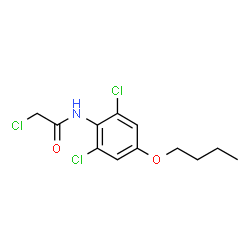 ChemSpider 2D Image | N-(4-Butoxy-2,6-dichlorophenyl)-2-chloroacetamide | C12H14Cl3NO2