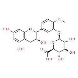 ChemSpider 2D Image | 2-Methoxy-5-[(2R,3R)-3,5,7-trihydroxy-3,4-dihydro-2H-chromen-2-yl]phenyl beta-D-glucopyranosiduronic acid | C22H24O12