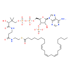ChemSpider 2D Image | Adenosine, 5'-O-[hydroxy[[hydroxy[(3R)-3-hydroxy-2,2-dimethyl-4-oxo-4-[[3-oxo-3-[[2-[[(9Z,12Z,15Z,18Z)-1-oxo-9,12,15,18-tetracosatetraen-1-yl]thio]ethyl]amino]propyl]amino]butoxy]phosphinyl]oxy]phosph
inyl]-, 3'-(dihydrogen phosphate), ion(4-) | C45H70N7O17P3S
