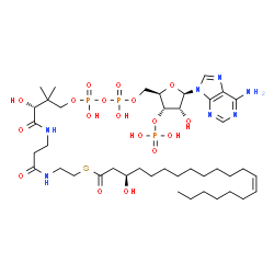 ChemSpider 2D Image | (3R,13Z)-3-hydroxyicosenoyl-CoA | C41H72N7O18P3S