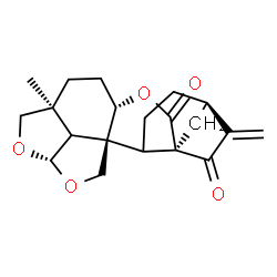 ChemSpider 2D Image | (1R,5R,8R,11S,14S,17S)-14-Methyl-6-methylene-10,16,18-trioxahexacyclo[12.5.1.1~5,8~.0~1,11~.0~2,8~.0~17,20~]henicosane-7,9-dione | C20H24O5