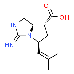 ChemSpider 2D Image | (5S,7R,7aR)-3-Amino-5-(2-methyl-1-propen-1-yl)-5,6,7,7a-tetrahydro-1H-pyrrolo[1,2-c]imidazole-7-carboxylic acid | C11H17N3O2