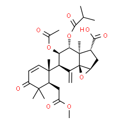 ChemSpider 2D Image | (1aR,3R,3aR,4R,5R,6R,7aS)-5-Acetoxy-4-(isobutyryloxy)-6-[(1S,6R)-6-(2-methoxy-2-oxoethyl)-1,5,5-trimethyl-4-oxo-2-cyclohexen-1-yl]-3a-methyl-7-methyleneoctahydroindeno[1,7a-b]oxirene-3-carboxylic acid | C30H40O10