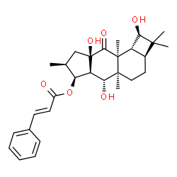 ChemSpider 2D Image | (1R,2aS,4aR,5R,5aS,6S,7S,8aR,9aS,9bR)-1,5,8a-Trihydroxy-2,2,4a,7,9a-pentamethyl-9-oxotetradecahydro-1H-cyclobuta[a]cyclopenta[g]naphthalen-6-yl (2E)-3-phenylacrylate | C29H38O6
