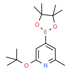ChemSpider 2D Image | 2-Methyl-6-[(2-methyl-2-propanyl)oxy]-4-(4,4,5,5-tetramethyl-1,3,2-dioxaborolan-2-yl)pyridine | C16H26BNO3