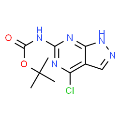 ChemSpider 2D Image | 2-Methyl-2-propanyl (4-chloro-1H-pyrazolo[3,4-d]pyrimidin-6-yl)carbamate | C10H12ClN5O2