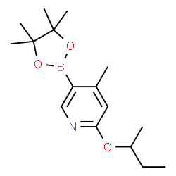 ChemSpider 2D Image | 2-sec-Butoxy-4-methyl-5-(4,4,5,5-tetramethyl-1,3,2-dioxaborolan-2-yl)pyridine | C16H26BNO3