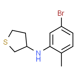 ChemSpider 2D Image | N-(5-Bromo-2-methylphenyl)tetrahydro-3-thiophenamine | C11H14BrNS