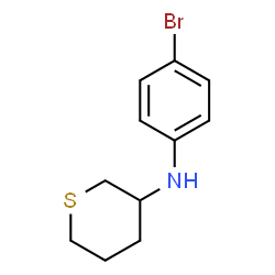 ChemSpider 2D Image | N-(4-Bromophenyl)tetrahydro-2H-thiopyran-3-amine | C11H14BrNS