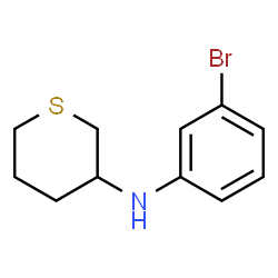 ChemSpider 2D Image | N-(3-Bromophenyl)tetrahydro-2H-thiopyran-3-amine | C11H14BrNS
