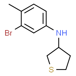 ChemSpider 2D Image | N-(3-Bromo-4-methylphenyl)tetrahydro-3-thiophenamine | C11H14BrNS