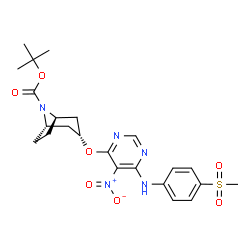 ChemSpider 2D Image | 2-Methyl-2-propanyl (3-endo)-3-[(6-{[4-(methylsulfonyl)phenyl]amino}-5-nitro-4-pyrimidinyl)oxy]-8-azabicyclo[3.2.1]octane-8-carboxylate | C23H29N5O7S