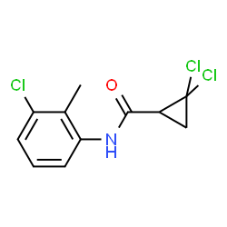 ChemSpider 2D Image | 2,2-Dichloro-N-(3-chloro-2-methylphenyl)cyclopropanecarboxamide | C11H10Cl3NO