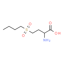 ChemSpider 2D Image | 2-Amino-4-(butylsulfonyl)butanoic acid | C8H17NO4S
