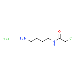 ChemSpider 2D Image | N-(4-Aminobutyl)-2-chloroacetamide hydrochloride (1:1) | C6H14Cl2N2O