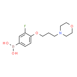ChemSpider 2D Image | (3-fluoro-4-(3-morpholinopropoxy)phenyl)boronic acid | C13H19BFNO4