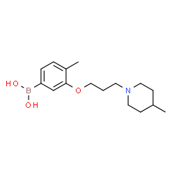 ChemSpider 2D Image | (4-methyl-3-(3-(4-methylpiperidin-1-yl)propoxy)phenyl)boronic acid | C16H26BNO3
