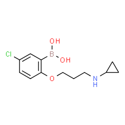ChemSpider 2D Image | (5-chloro-2-(3-(cyclopropylamino)propoxy)phenyl)boronic acid | C12H17BClNO3