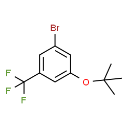 ChemSpider 2D Image | 1-Bromo-3-[(2-methyl-2-propanyl)oxy]-5-(trifluoromethyl)benzene | C11H12BrF3O