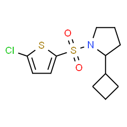 ChemSpider 2D Image | 1-[(5-Chloro-2-thienyl)sulfonyl]-2-cyclobutylpyrrolidine | C12H16ClNO2S2