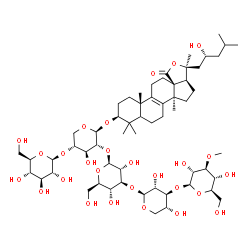 ChemSpider 2D Image | (3beta,5xi,23R)-23-Hydroxy-18-oxo-18,20-epoxylanost-8-en-3-yl beta-D-glucopyranosyl-(1->4)-[3-O-methyl-beta-D-glucopyranosyl-(1->3)-beta-D-xylopyranosyl-(1->3)-beta-D-glucopyranosyl-(1->2)]-beta-D-xyl
opyranoside | C59H96O27