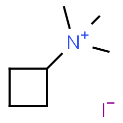 ChemSpider 2D Image | N,N,N-Trimethylcyclobutanaminium iodide | C7H16IN