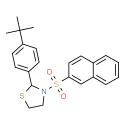 ChemSpider 2D Image | 2-[4-(2-Methyl-2-propanyl)phenyl]-3-(2-naphthylsulfonyl)-1,3-thiazolidine | C23H25NO2S2