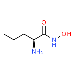 ChemSpider 2D Image | N-Hydroxy-L-norvalinamide | C5H12N2O2