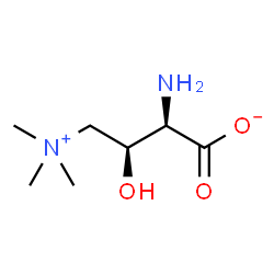 ChemSpider 2D Image | (R)-Aminocarnitine | C7H16N2O3