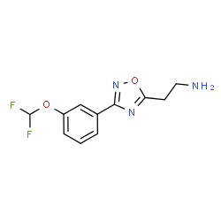 ChemSpider 2D Image | 2-{3-[3-(Difluoromethoxy)phenyl]-1,2,4-oxadiazol-5-yl}ethanamine | C11H11F2N3O2