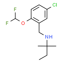 ChemSpider 2D Image | N-[5-Chloro-2-(difluoromethoxy)benzyl]-2-methyl-2-butanamine | C13H18ClF2NO